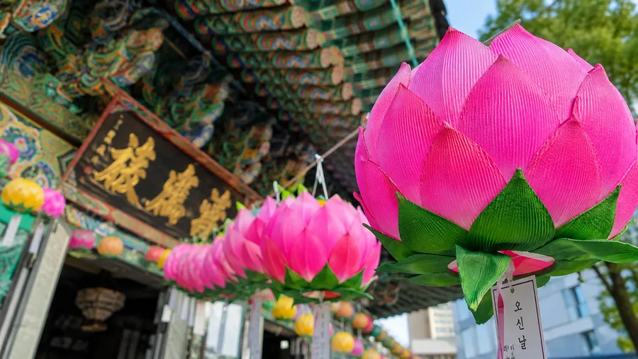 Jogyesa Temple Festivals, Temple Stay & Things to Do